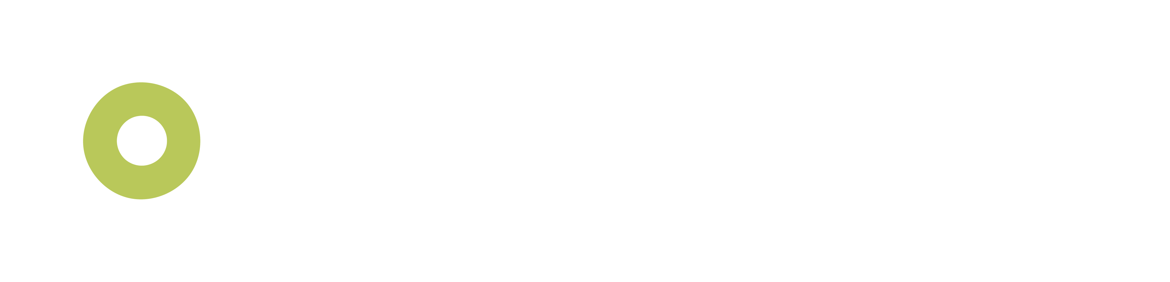 CavBot full logo