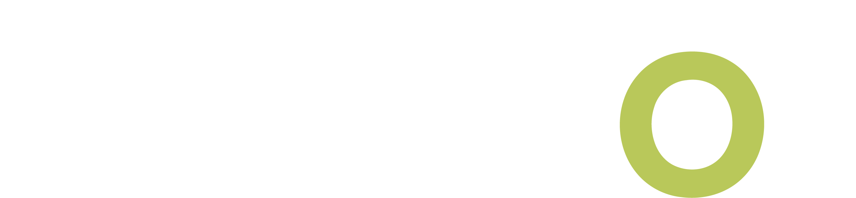 CavBot wordmark